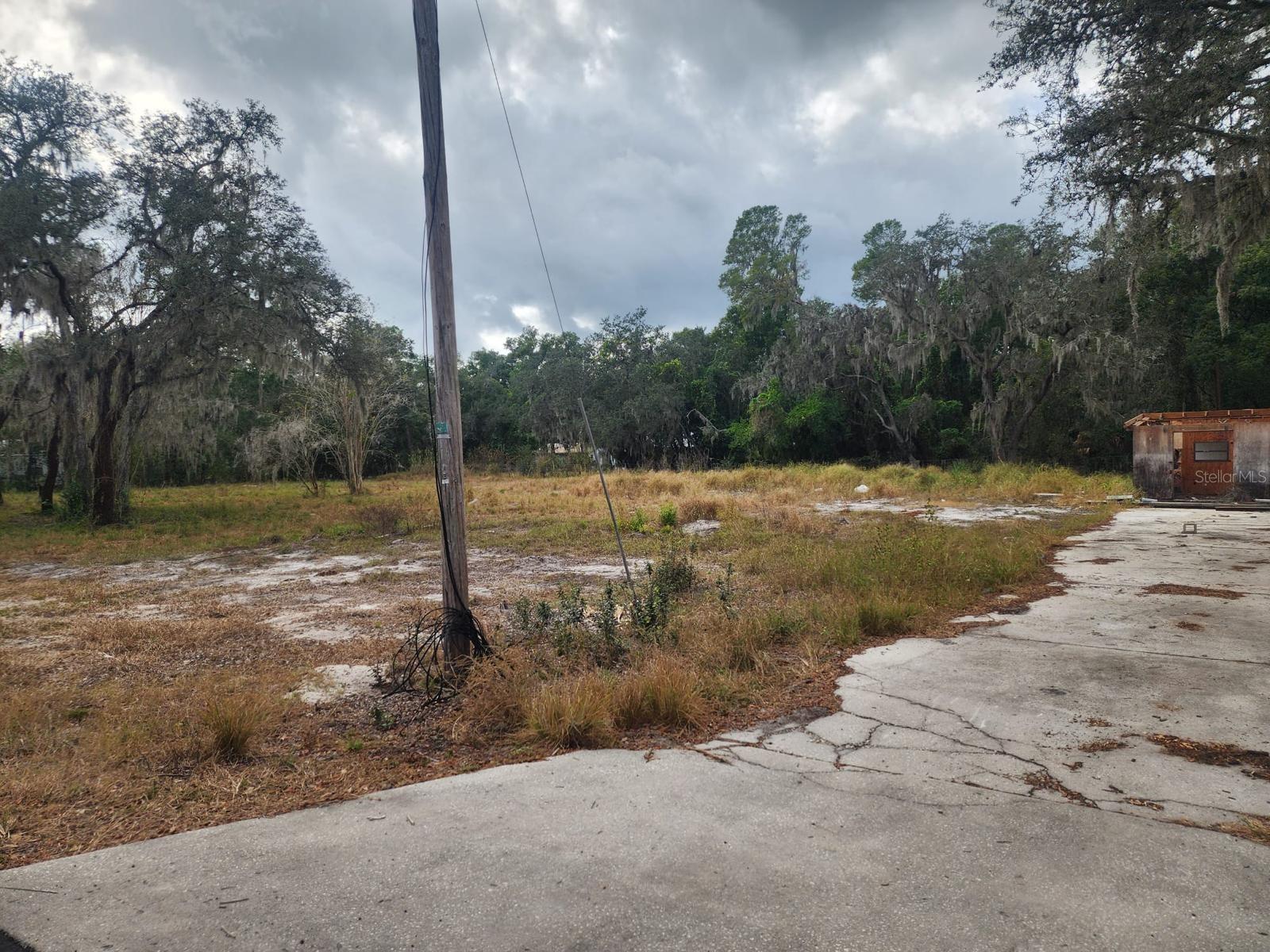 1409 Wilkinson Drive, FL
