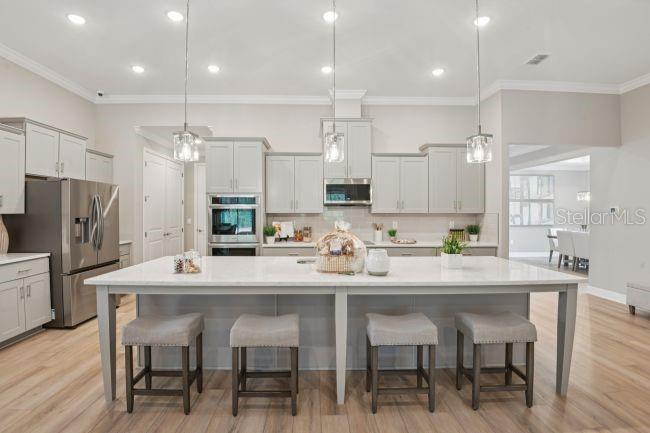 17041 Royal Palms Drive, FL