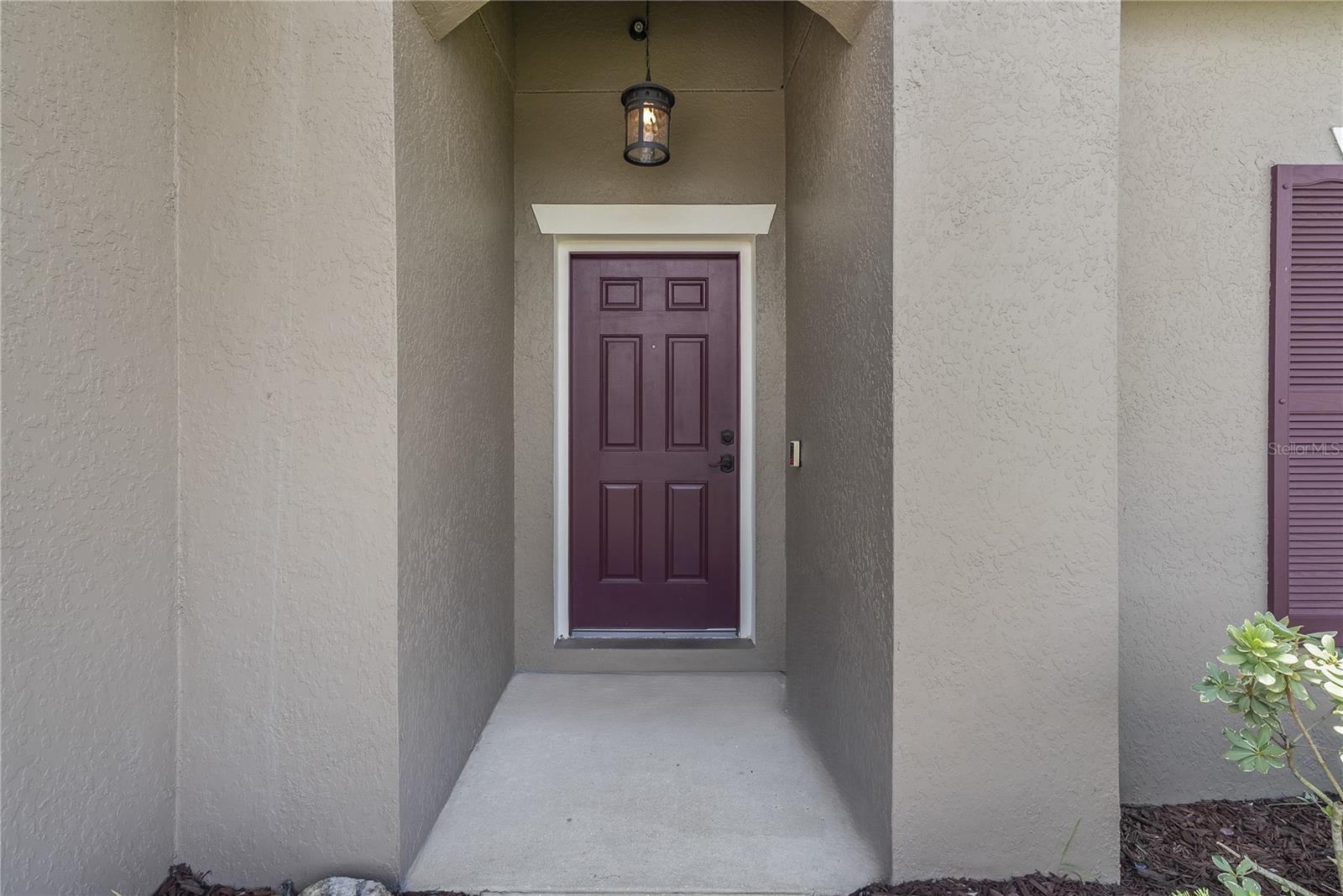 2517 Isabela Terrace, FL