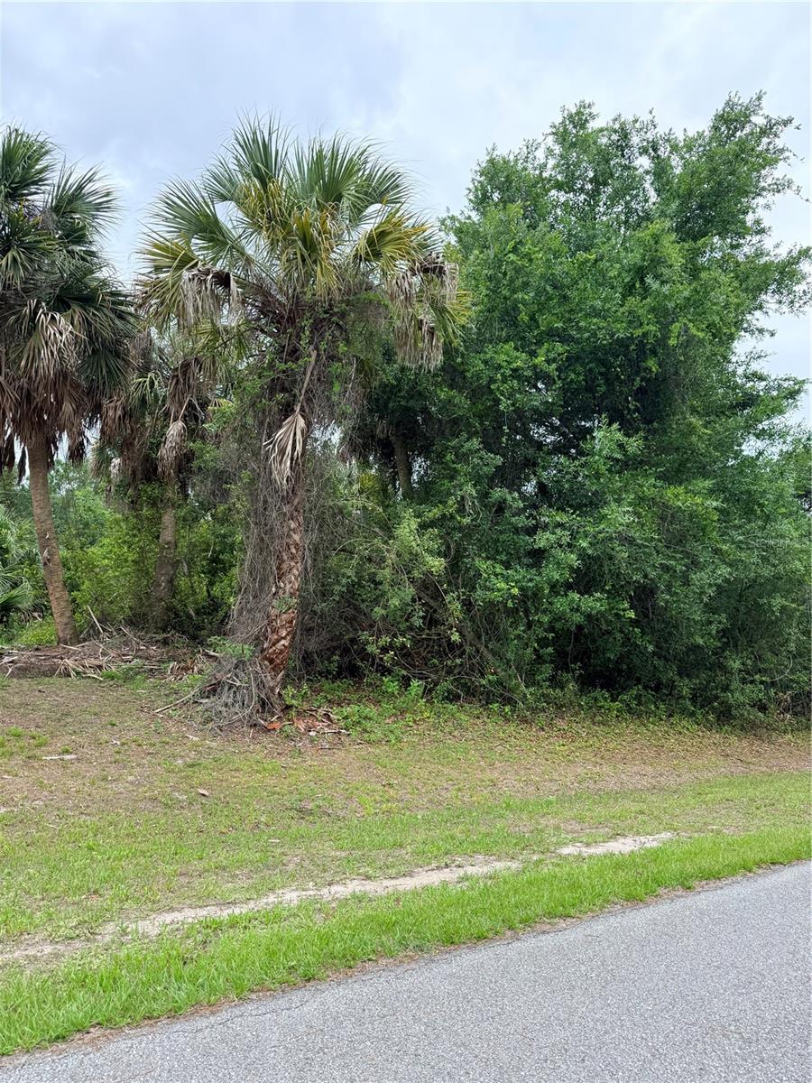 12192 Chamberlain Boulevard, FL