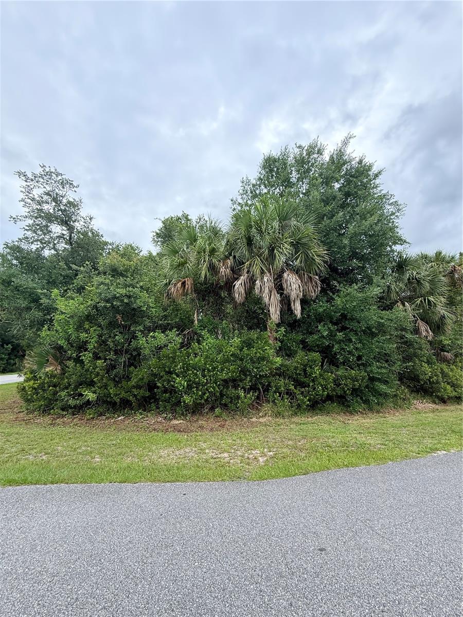 12192 Chamberlain Boulevard, FL