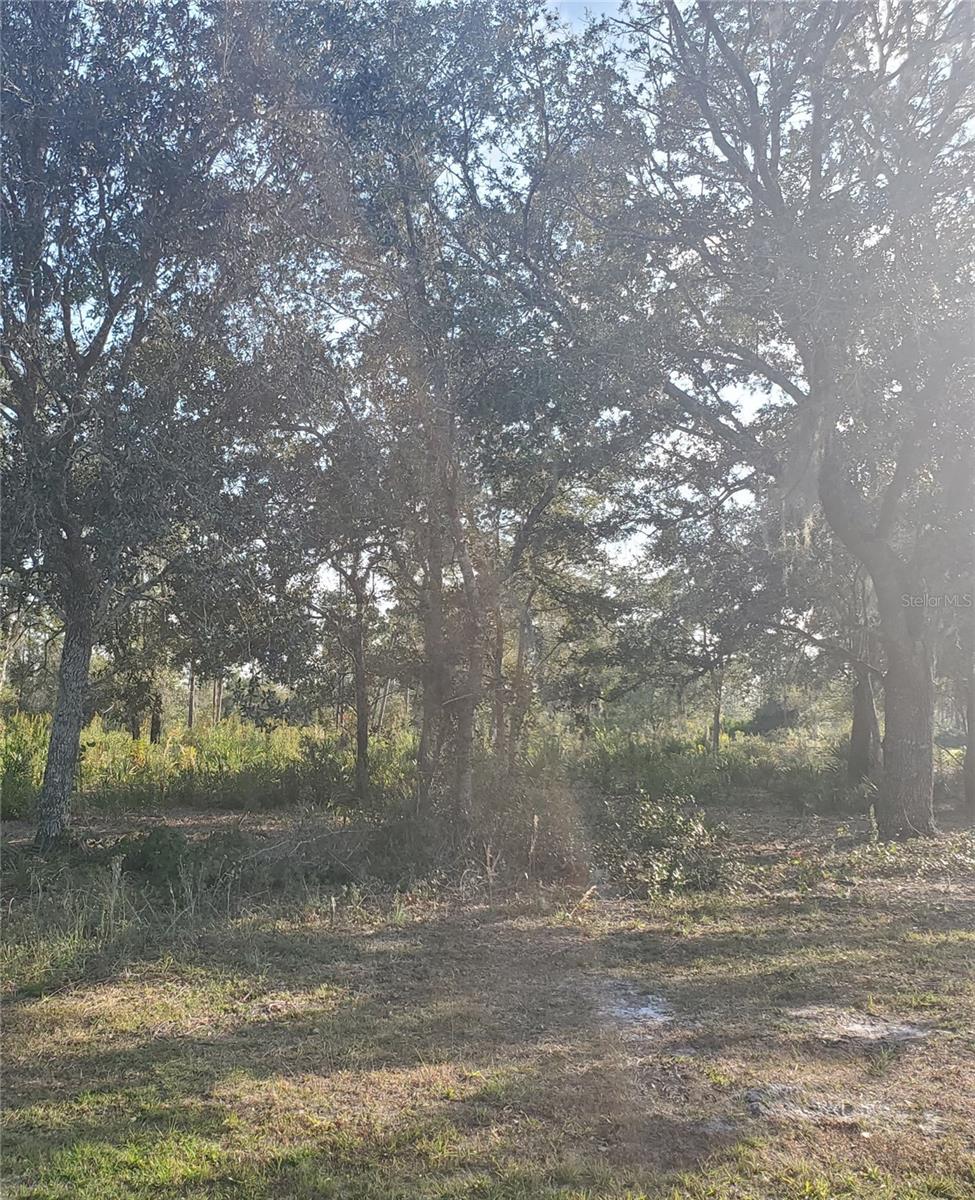 715 Indian Lake Drive, FL