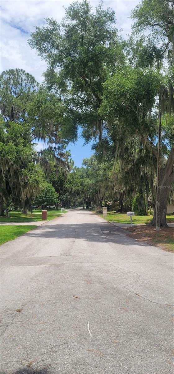 4220 Lake Marianna Drive, FL