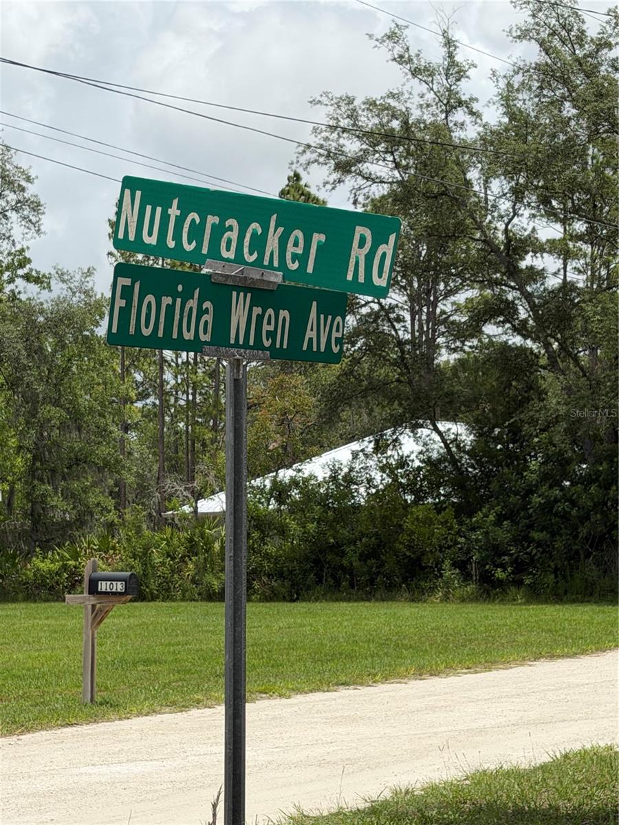 18011 Nutcracker Road, FL