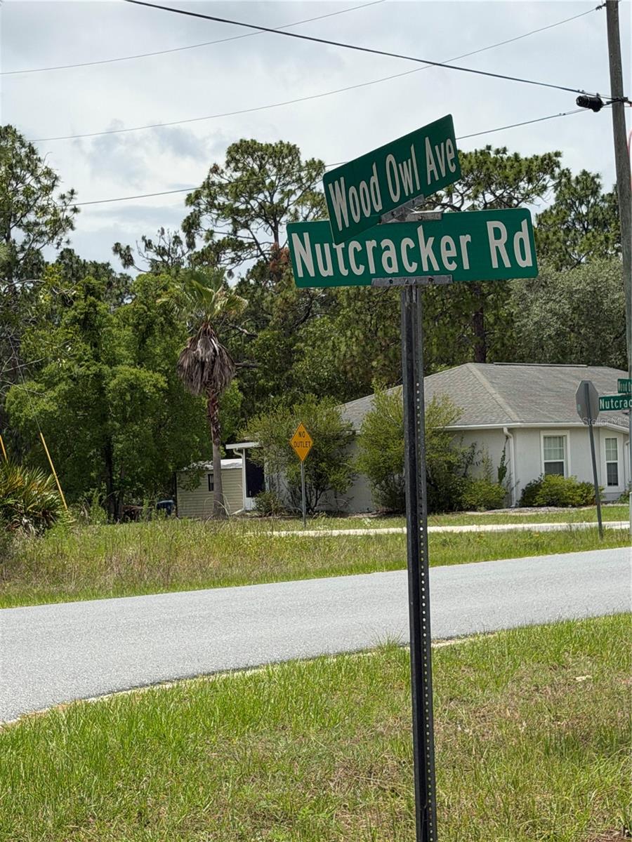 18011 Nutcracker Road, FL