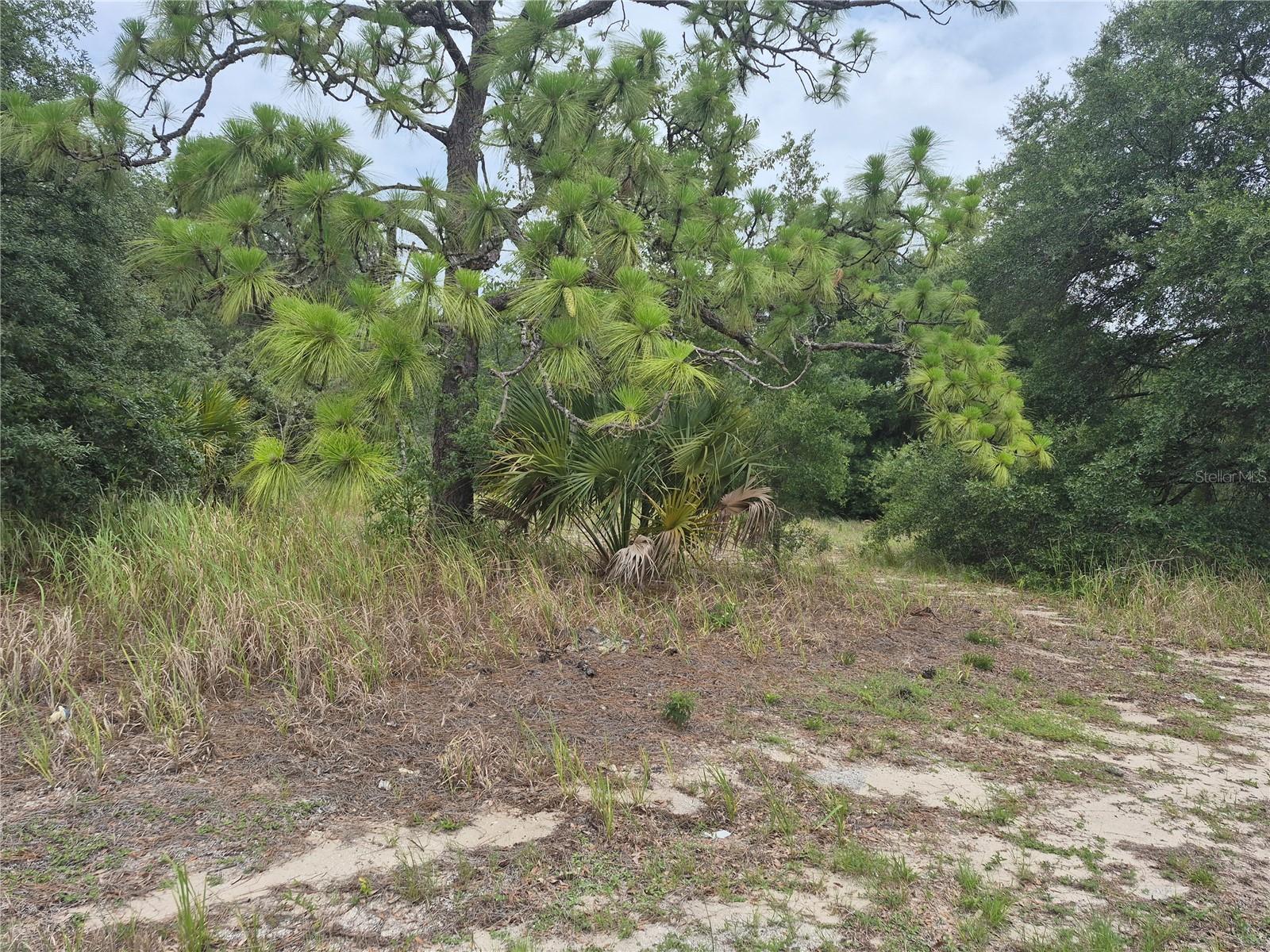 1626 Us 301, FL