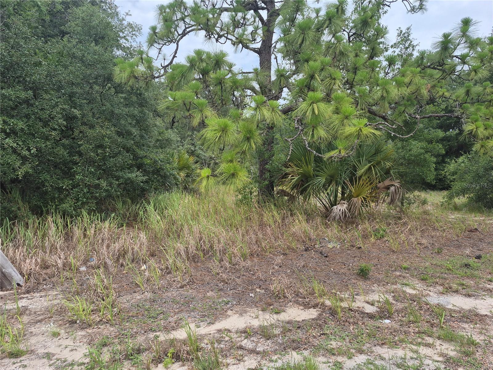 1626 Us 301, FL