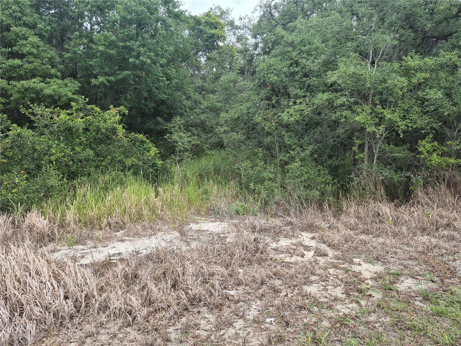1626 Us 301, FL