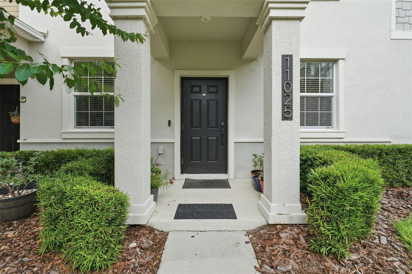 11025 Suspense Drive, FL