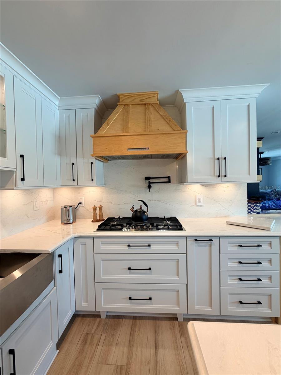 3921 Belle Vista Drive, FL