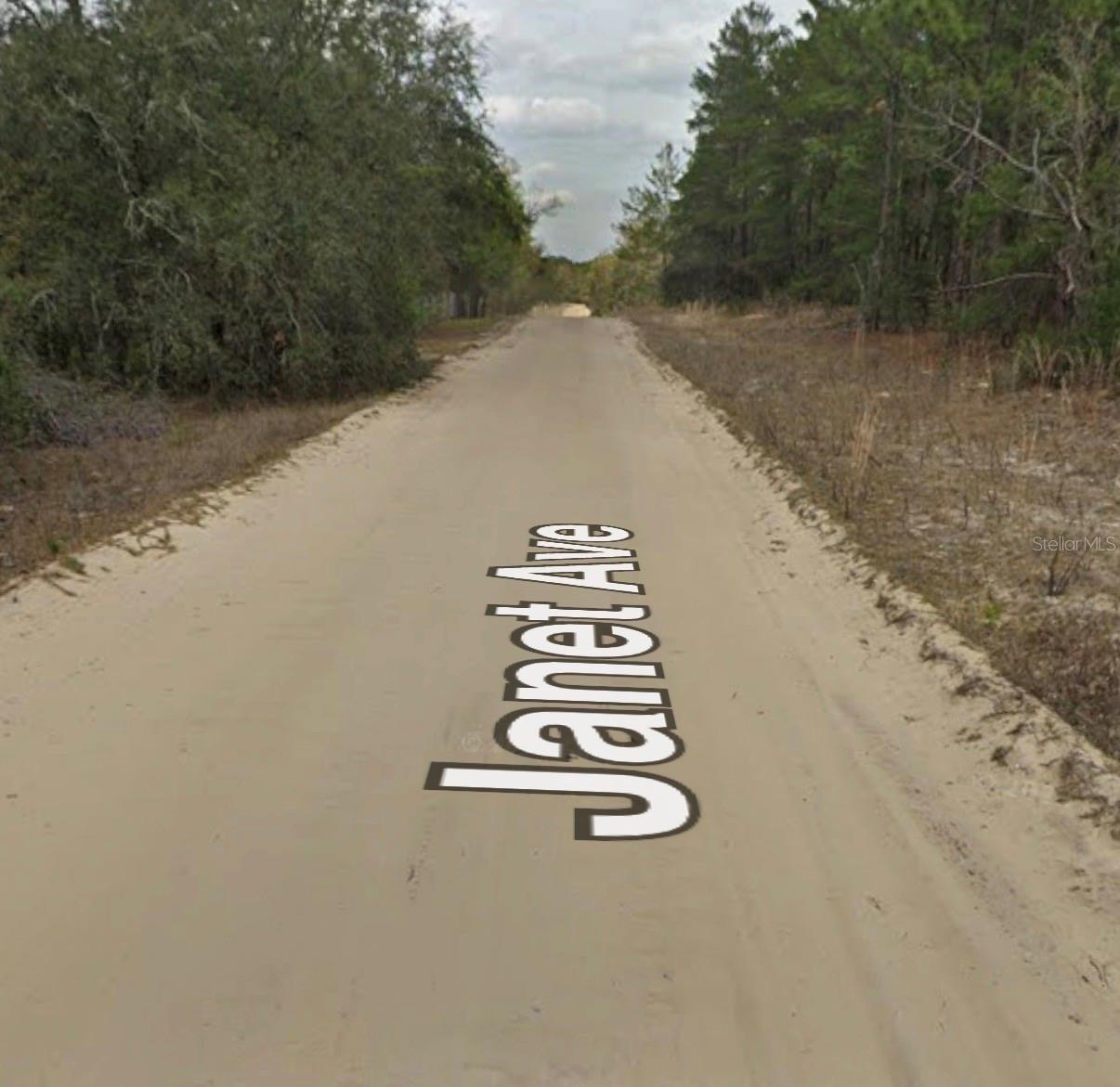 Janet Ave, FL