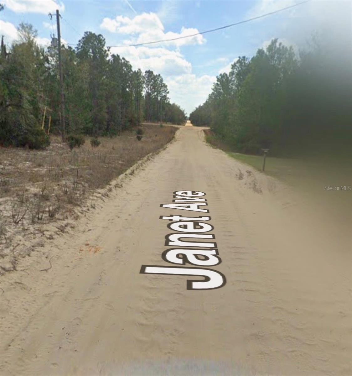 Janet Ave, FL