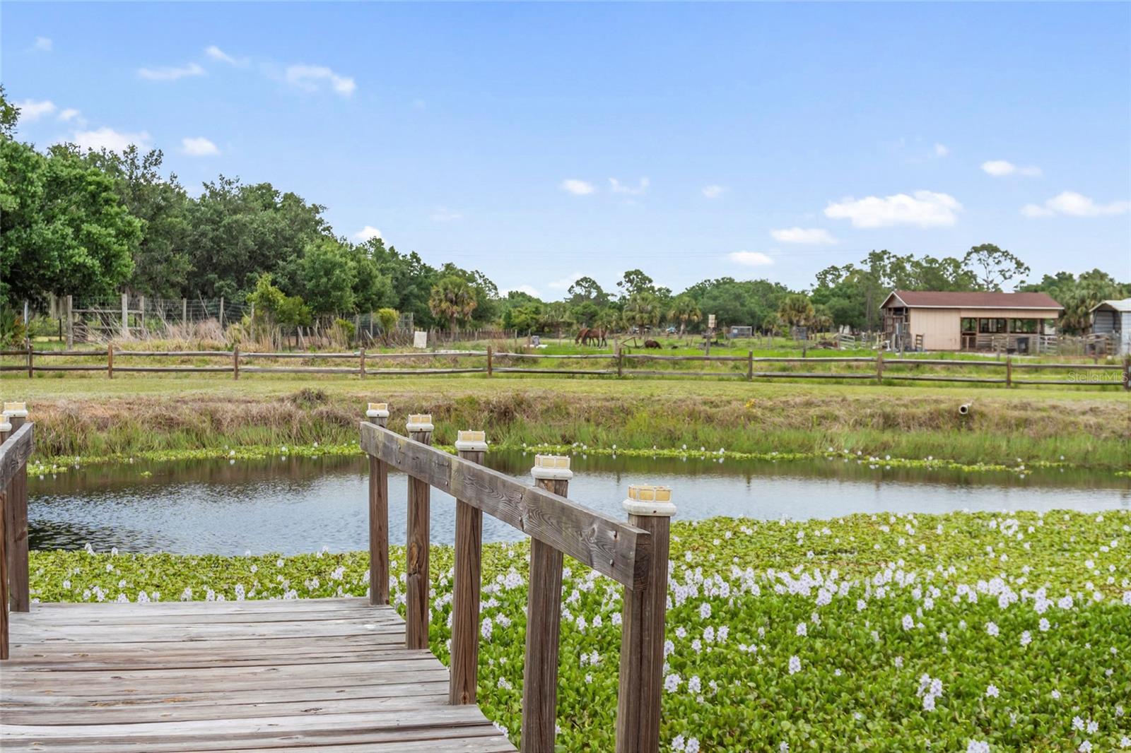 29005 Palm Shores Boulevard, FL