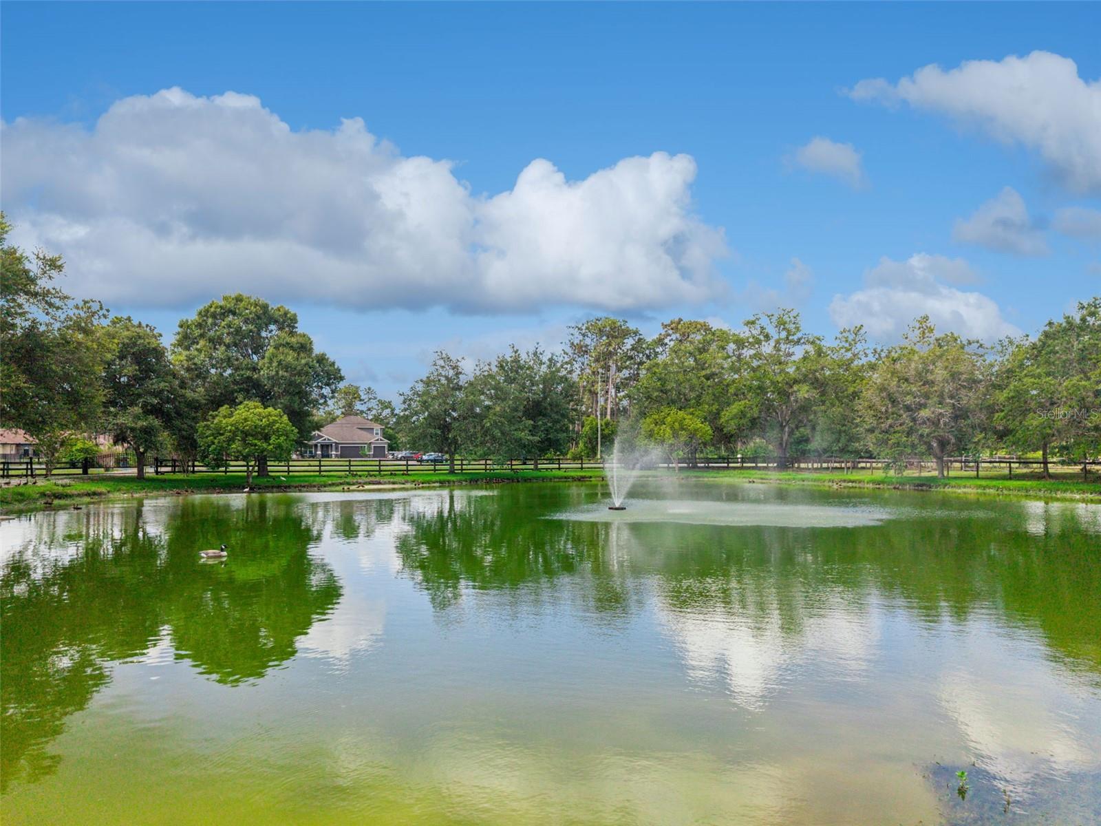 19743 Quarterly Parkway, FL