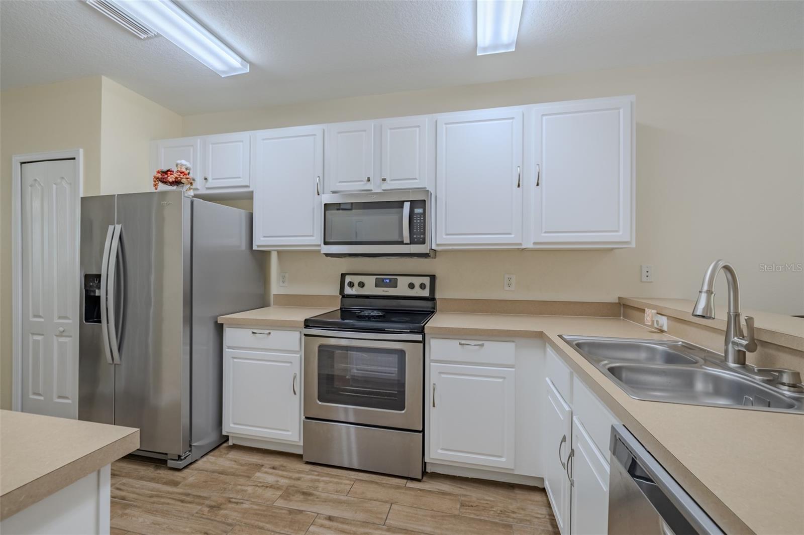 15911 Fishhawk View Drive, FL