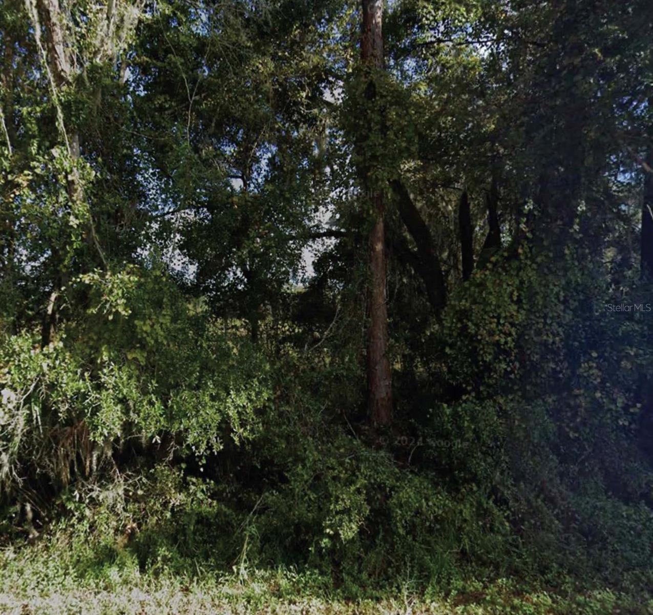234th Place Road, FL
