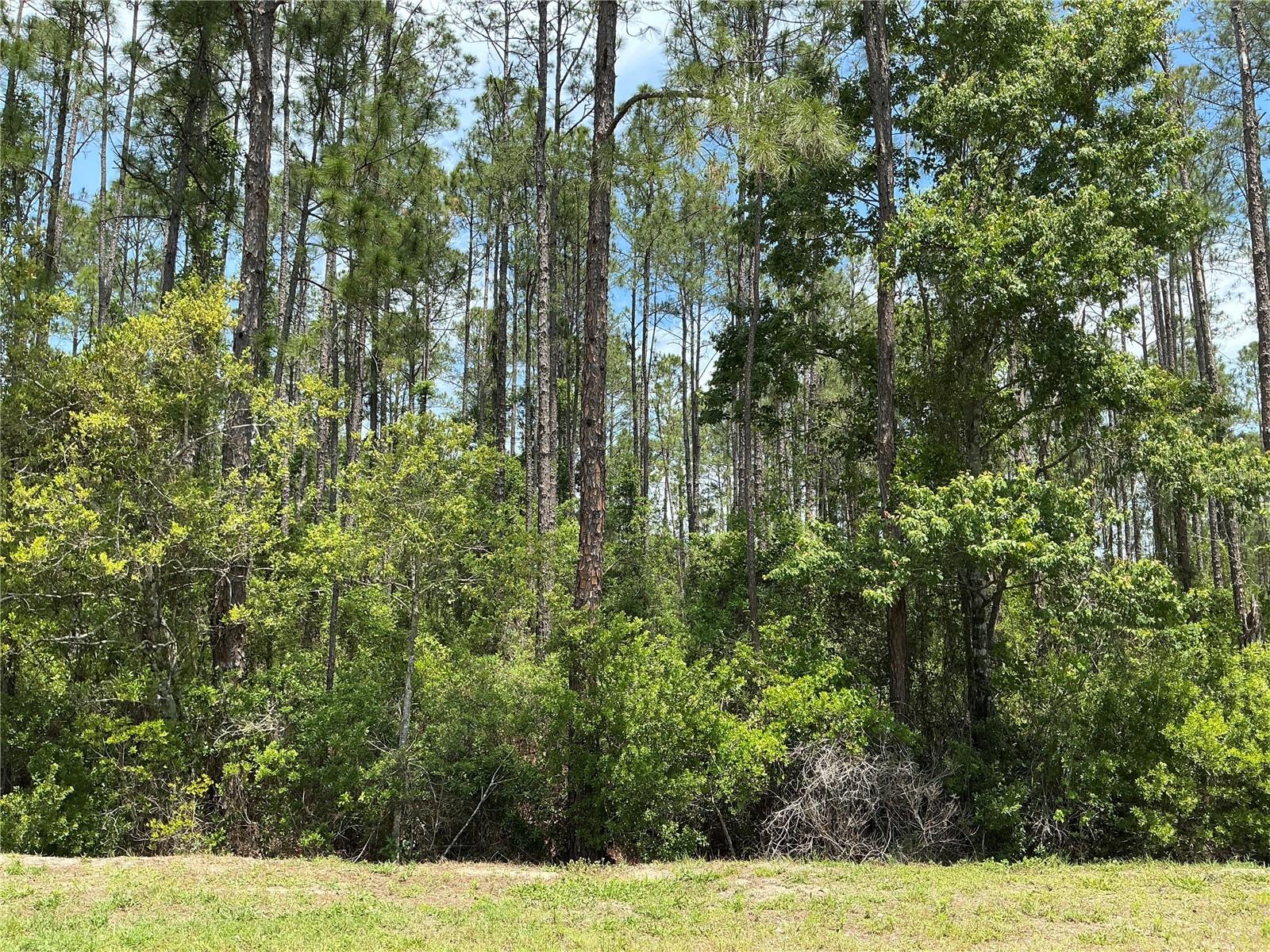 4430 Vicki Street, FL
