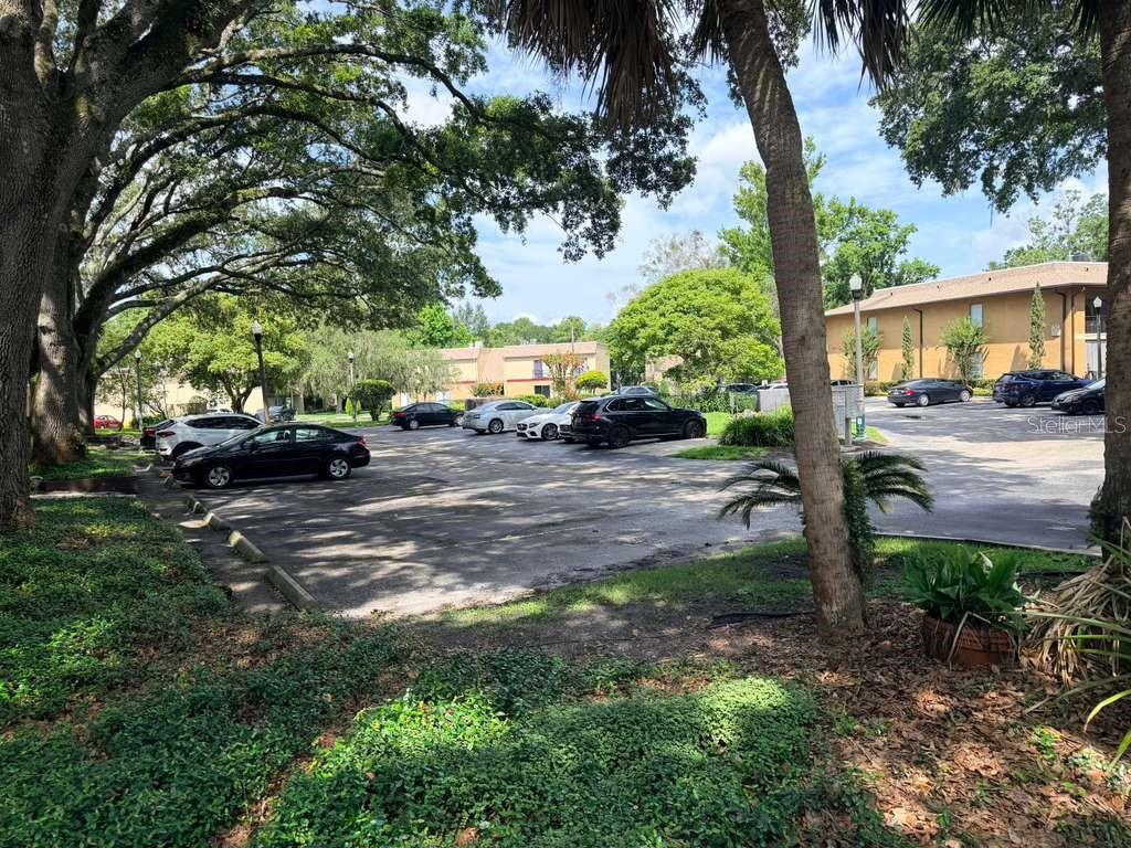 80 Moree Loop, FL