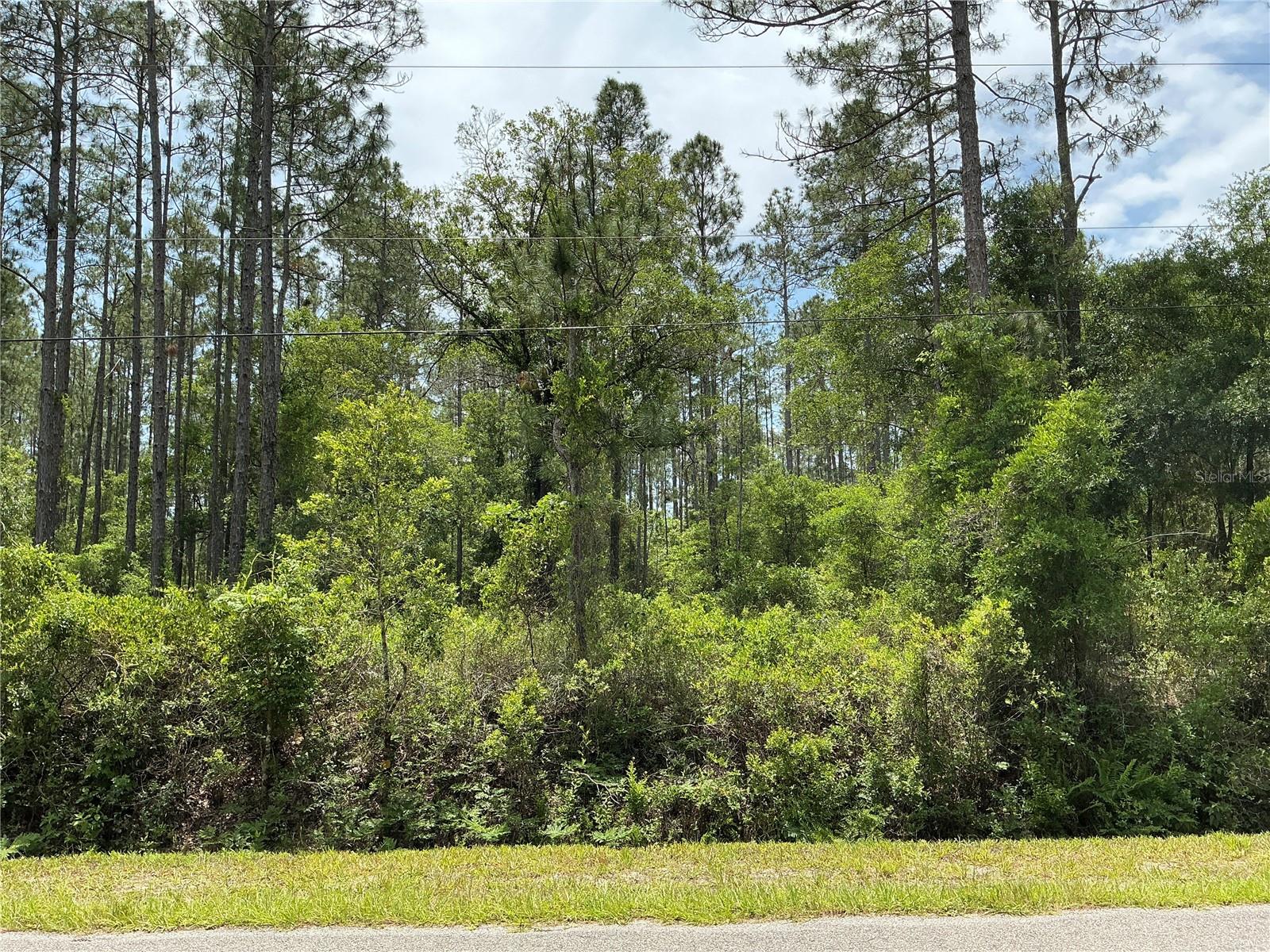 4365 Vicki Street, FL