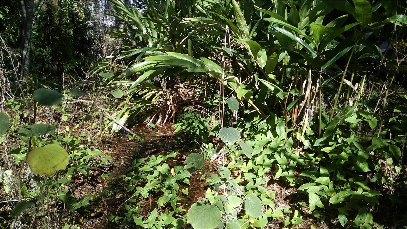 8 Santiago Road, FL