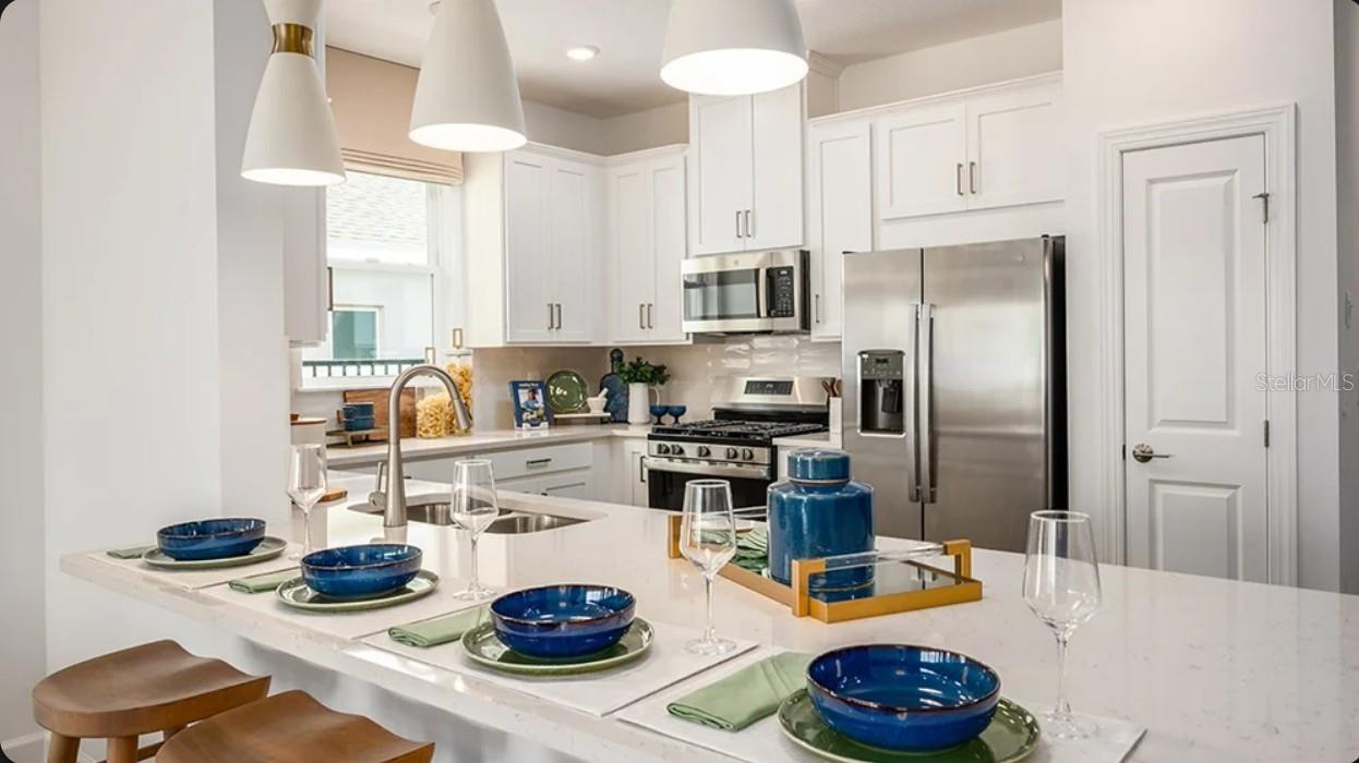 11291 Silver Trumpet Loop, FL