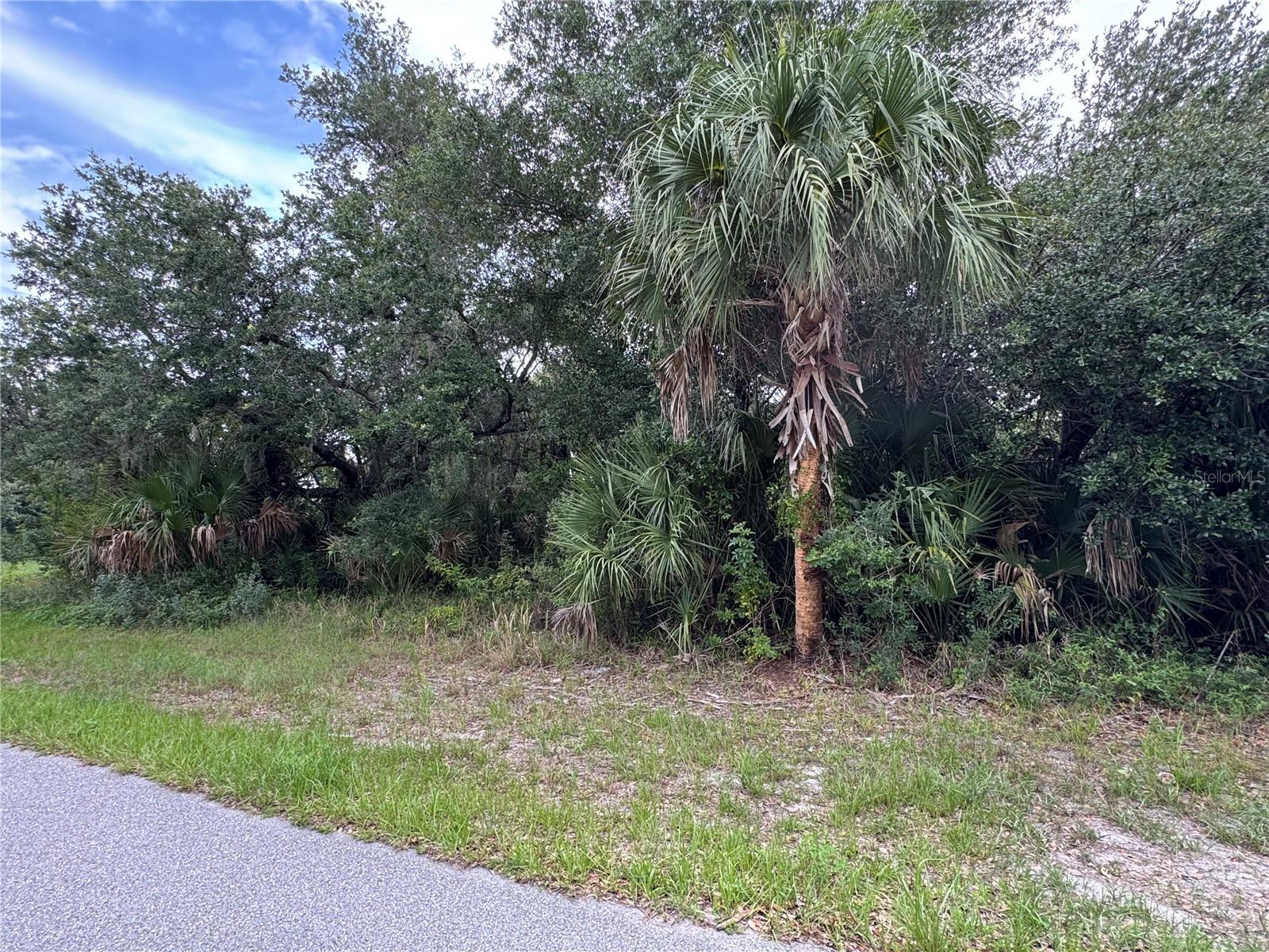 318 Leona Street, FL