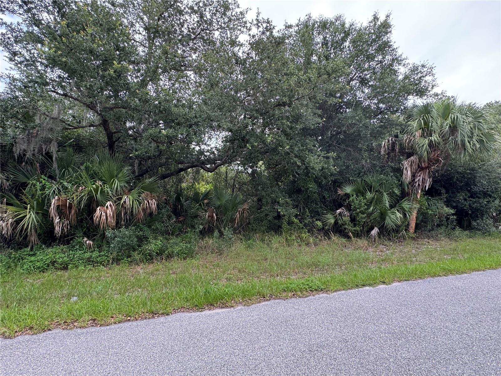 318 Leona Street, FL