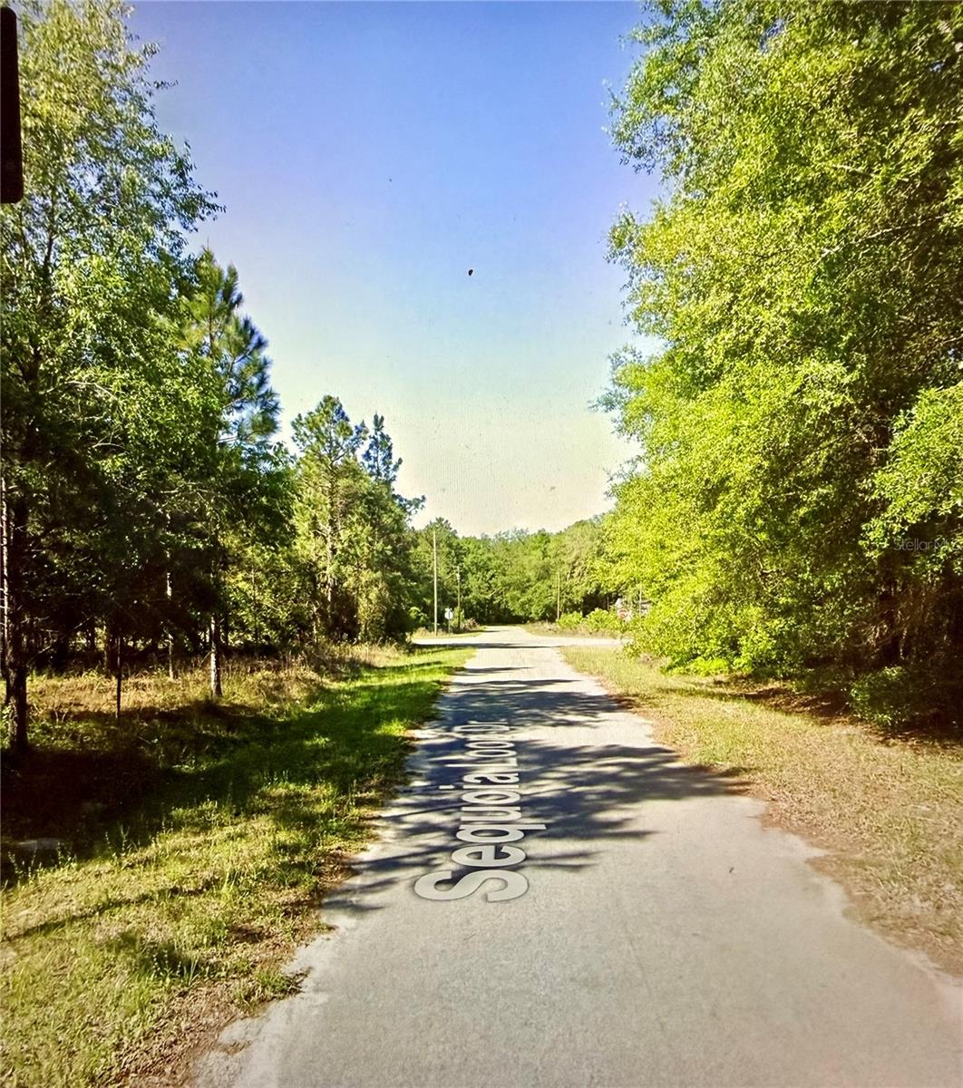 Lot 39 Sequoia Loop Drive, FL