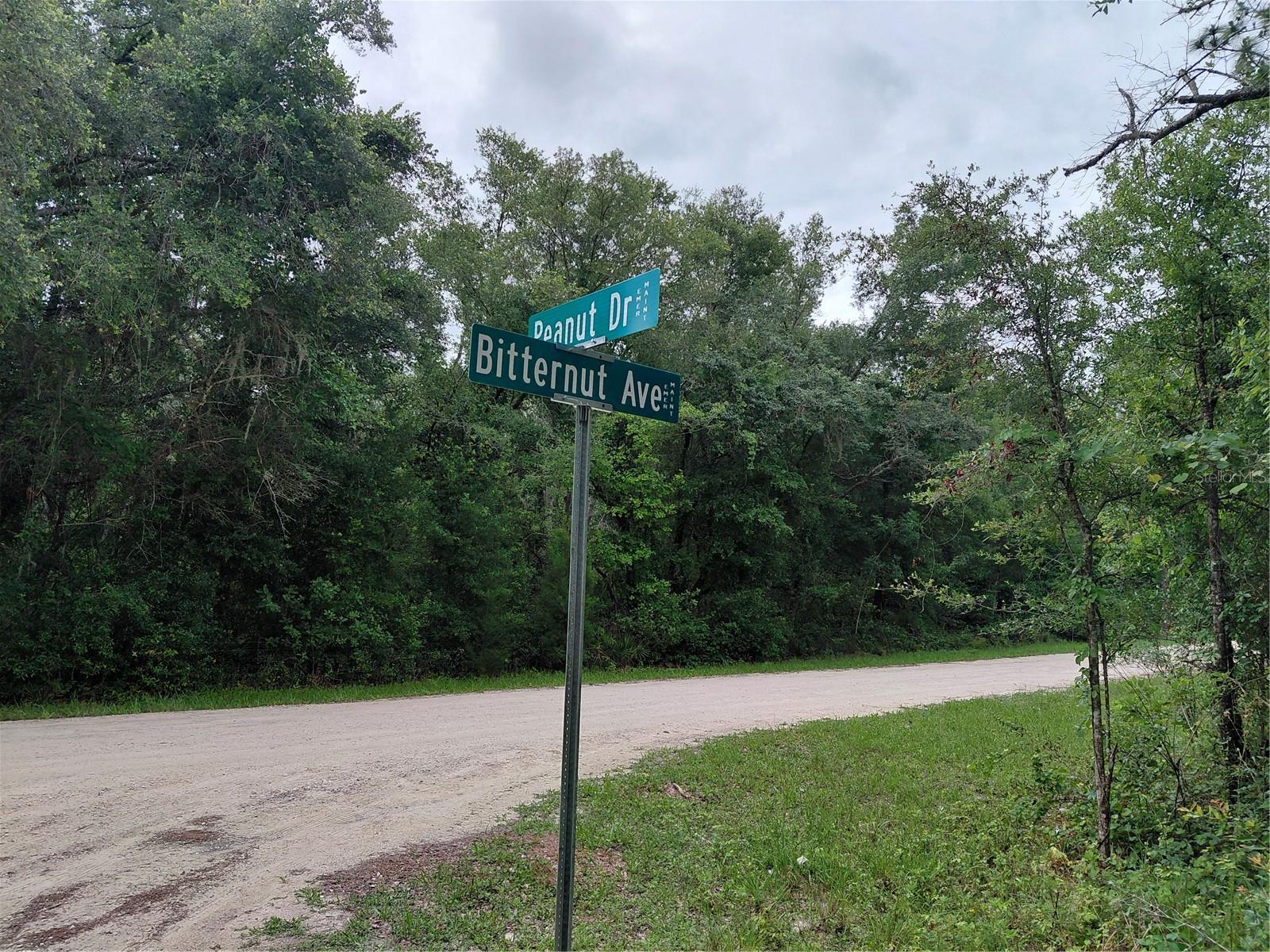 Peanut Drive, FL