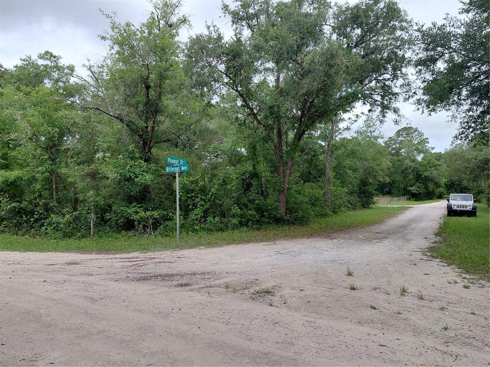 Peanut Drive, FL