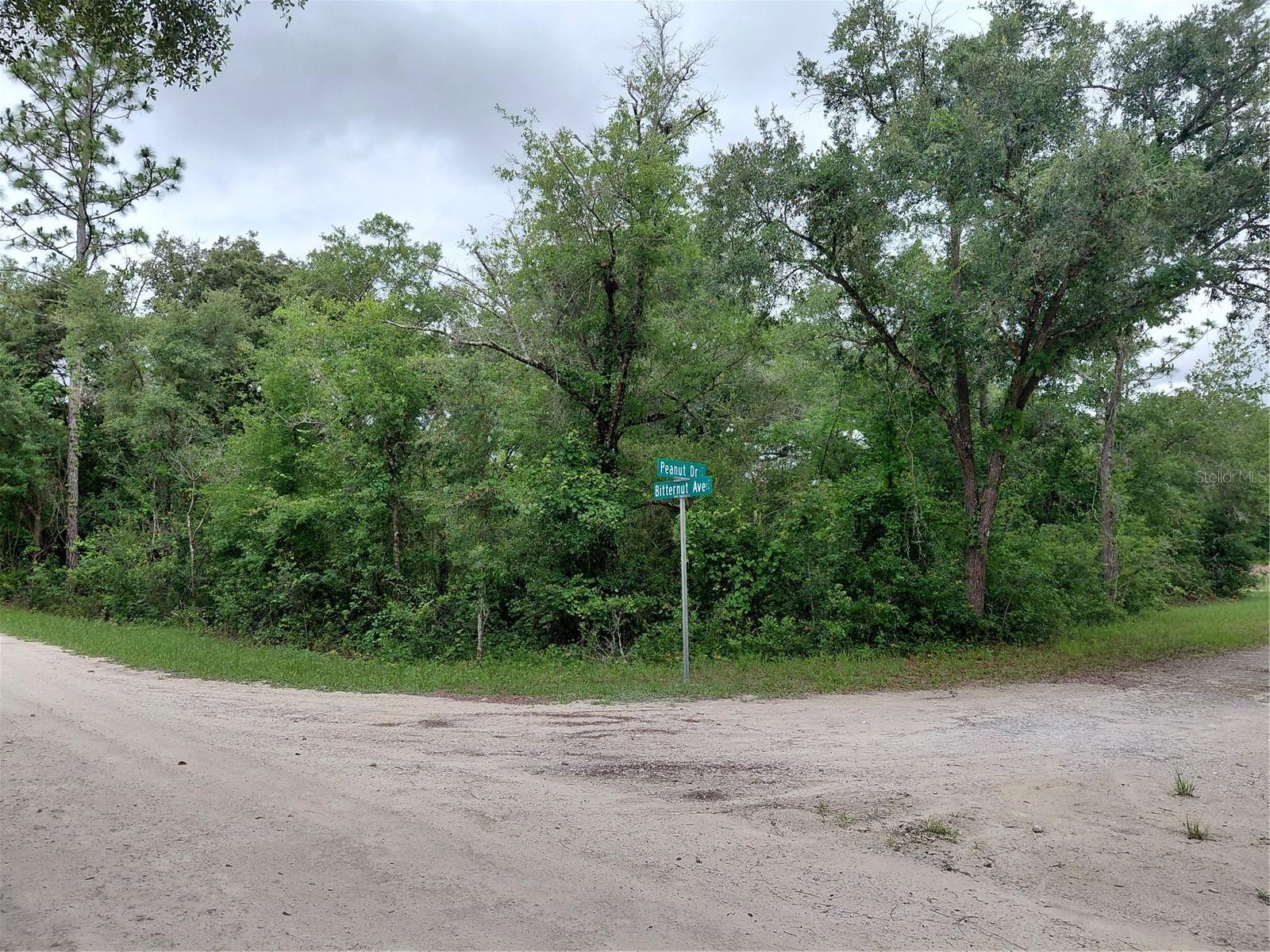 Peanut Drive, FL