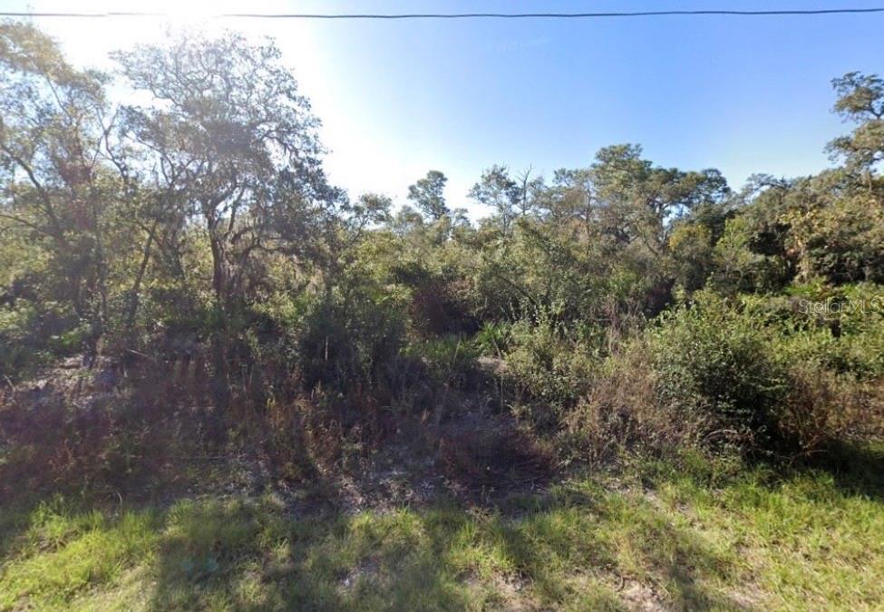 441 Vernon Court, FL