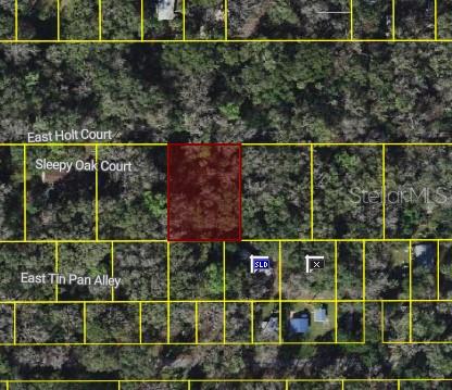 9346 Sleepy Oak Court, FL