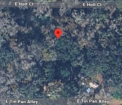 9346 Sleepy Oak Court, FL