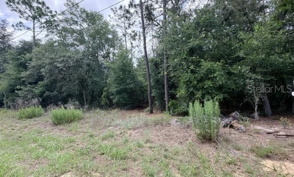 3223 E Scofield St, FL