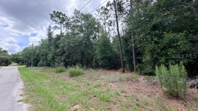 3223 E Scofield St, FL