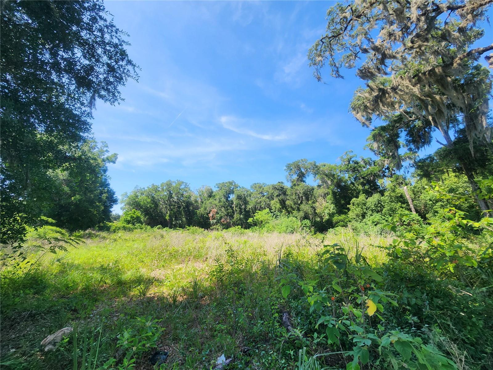 Tbd 97th Street Road, FL