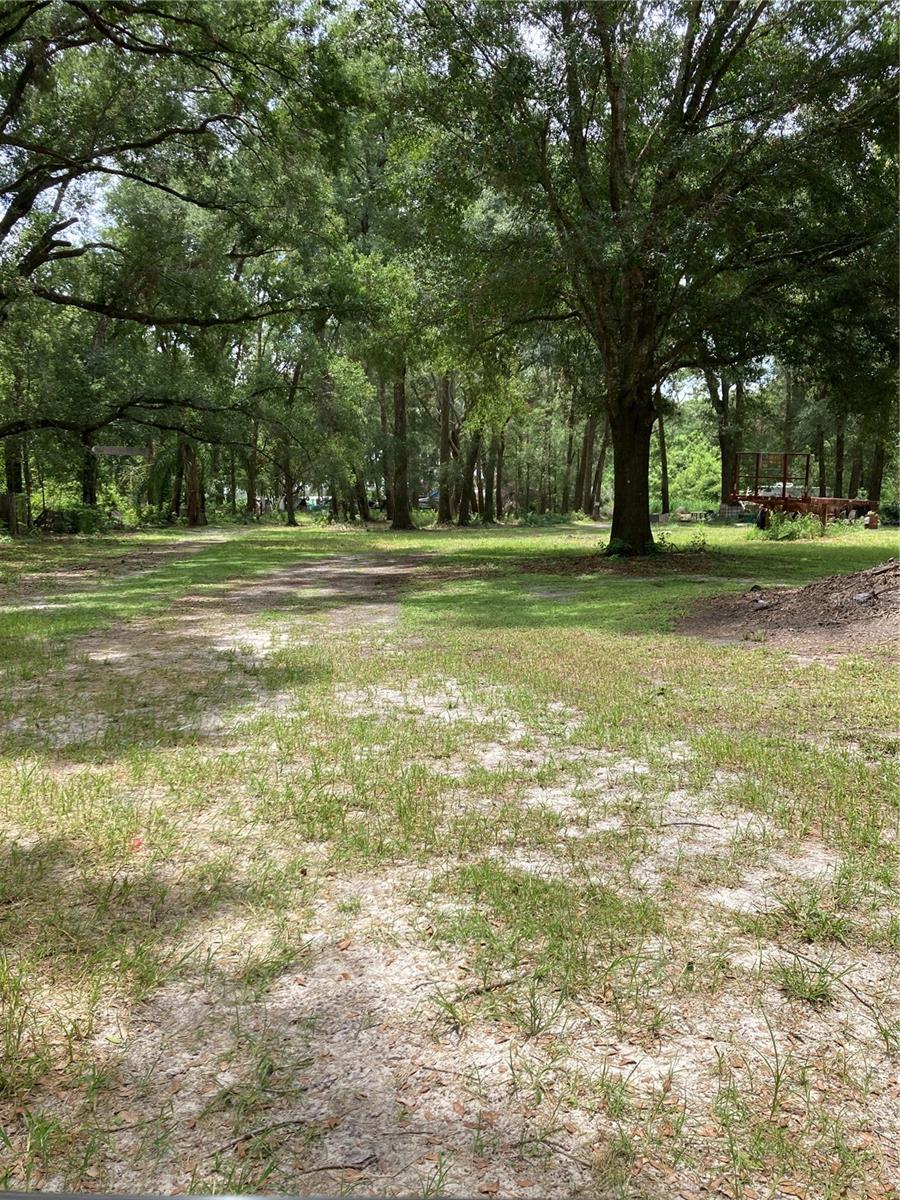 Pine Avenue, FL