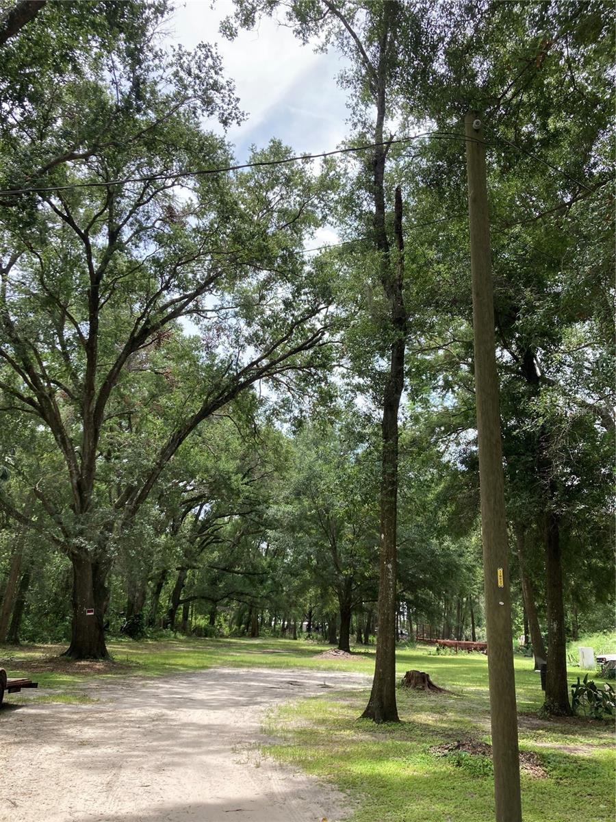 Pine Avenue, FL
