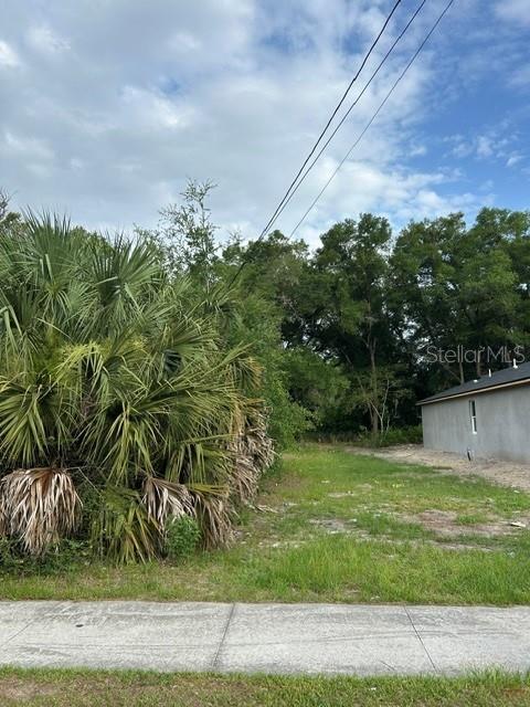 Palmetto Street, FL