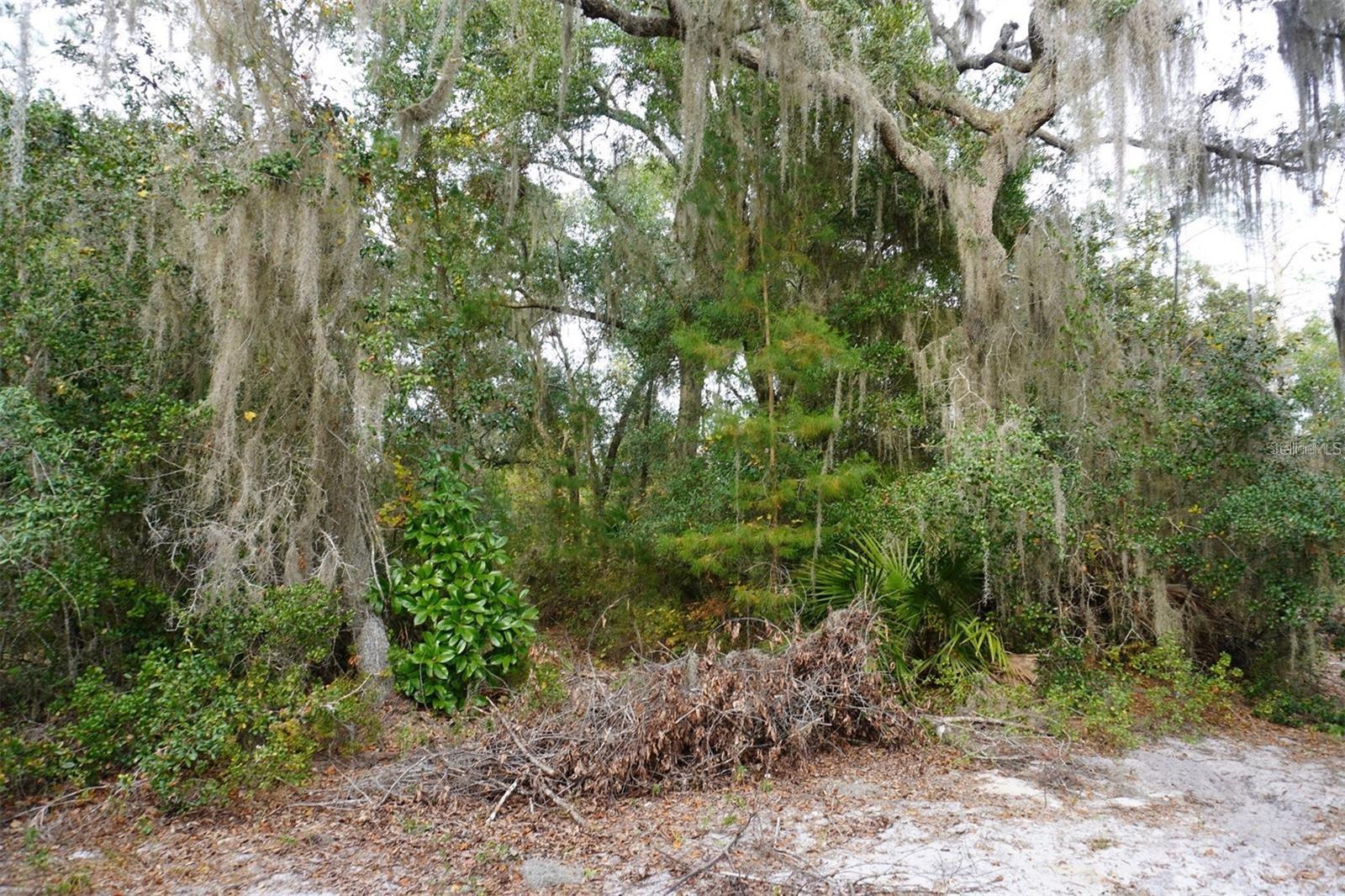 West Parkway, FL