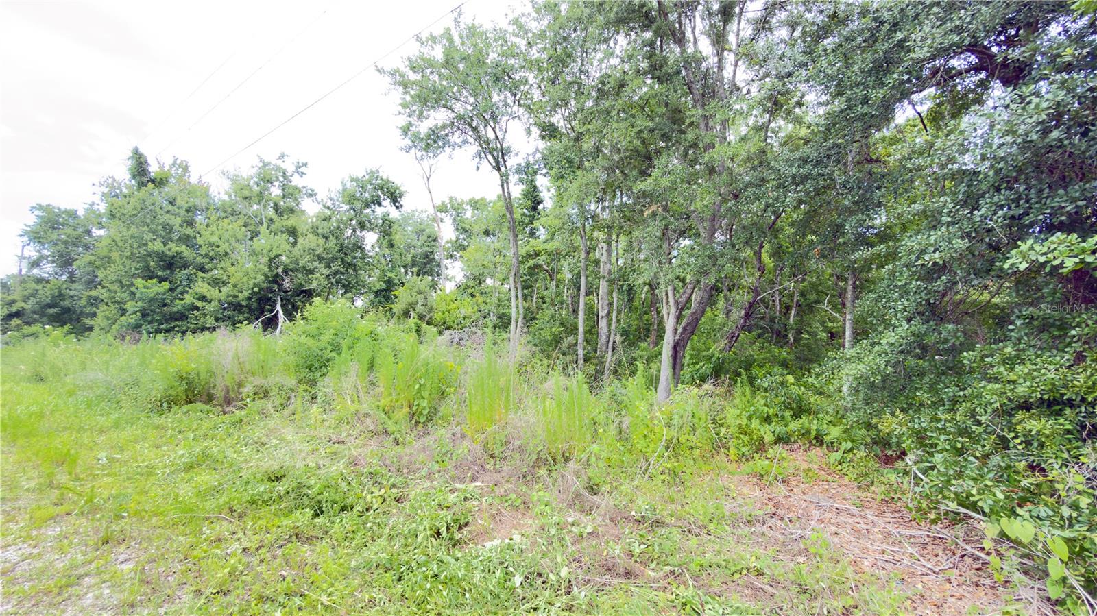7402 Land Drive, FL