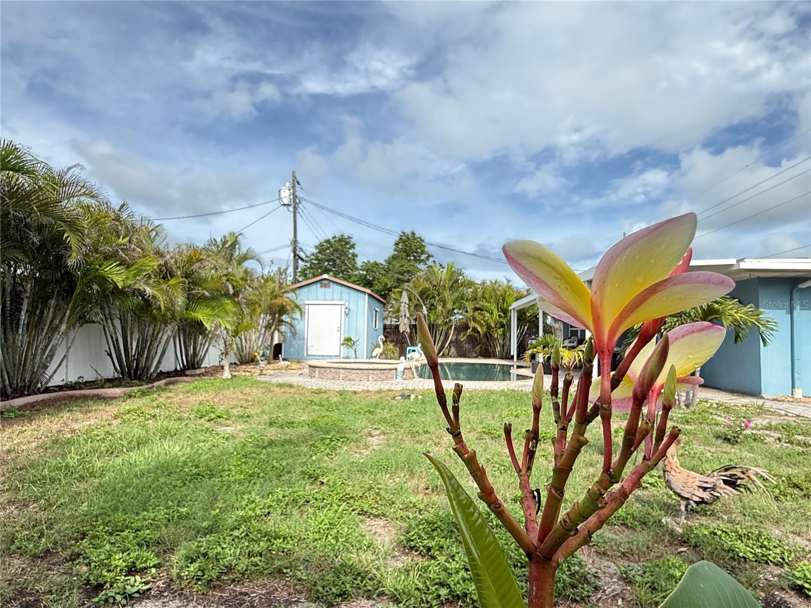 2100 8th Avenue, FL