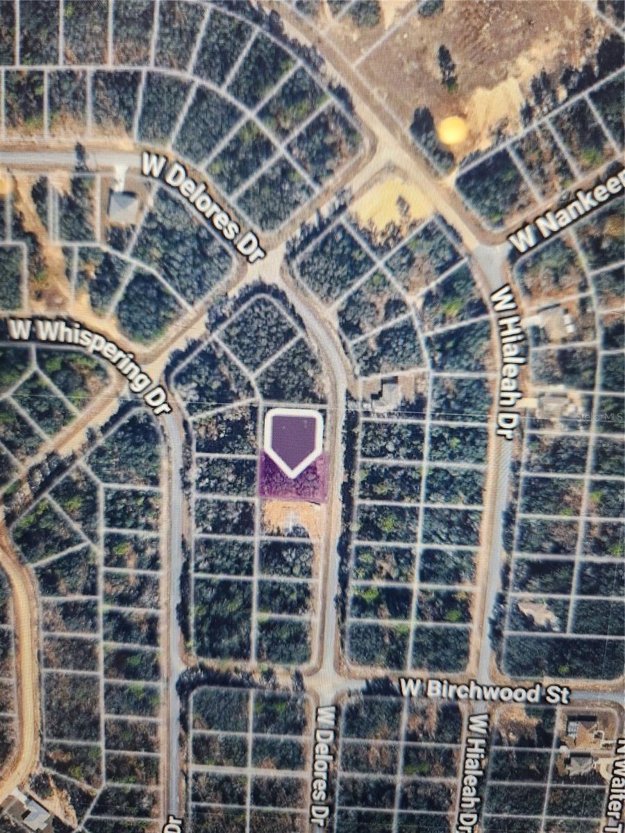 1360 Dolores Drive, FL