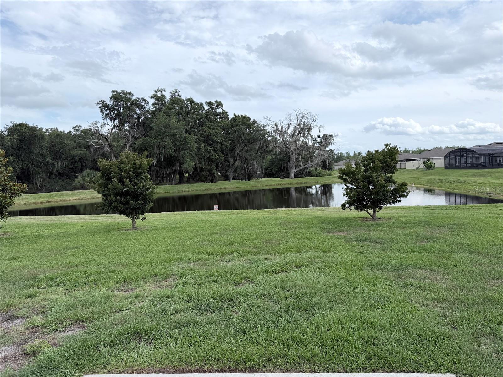 1917 Cricket Cradle Drive, FL