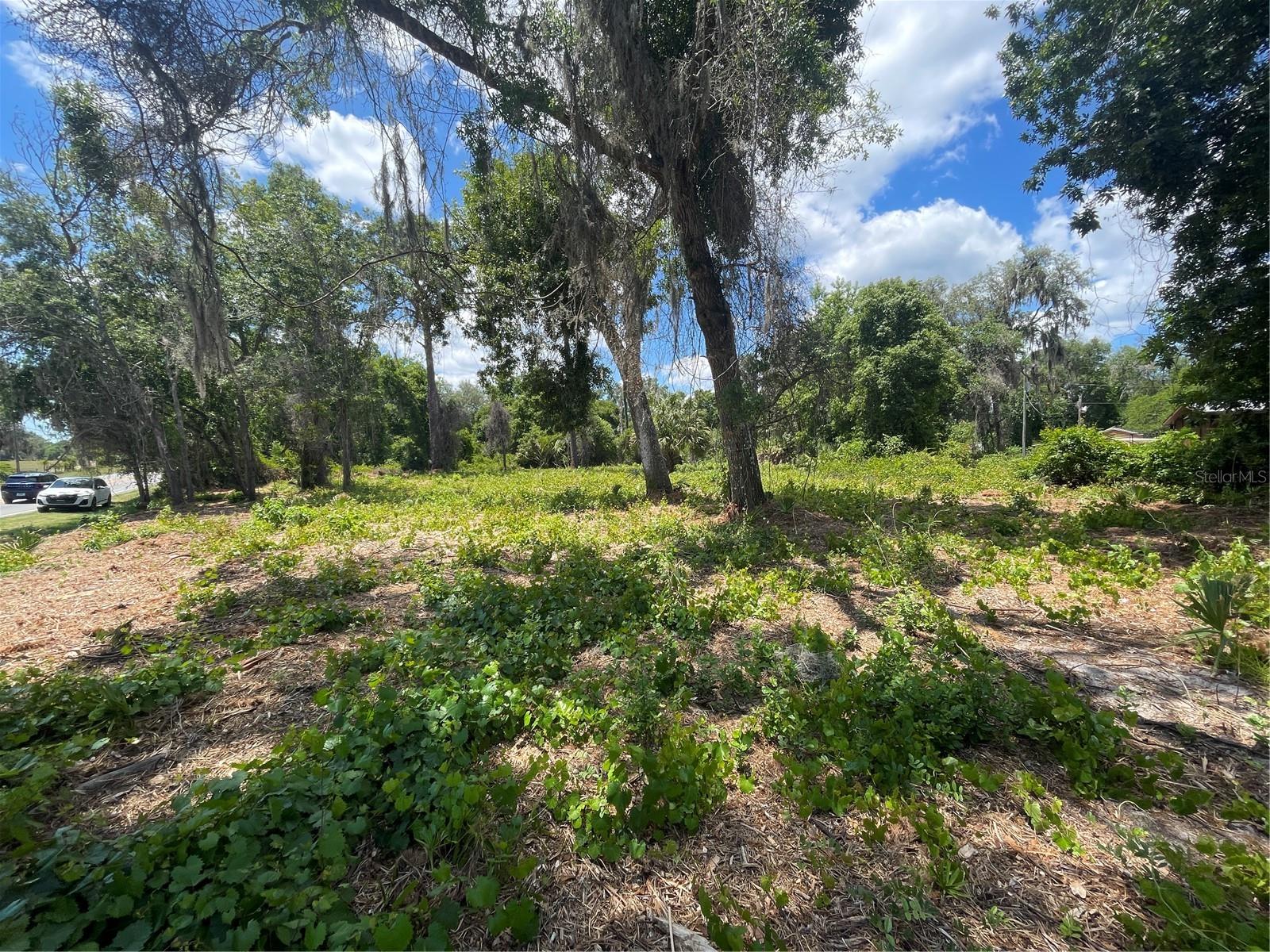 County Road 42, FL