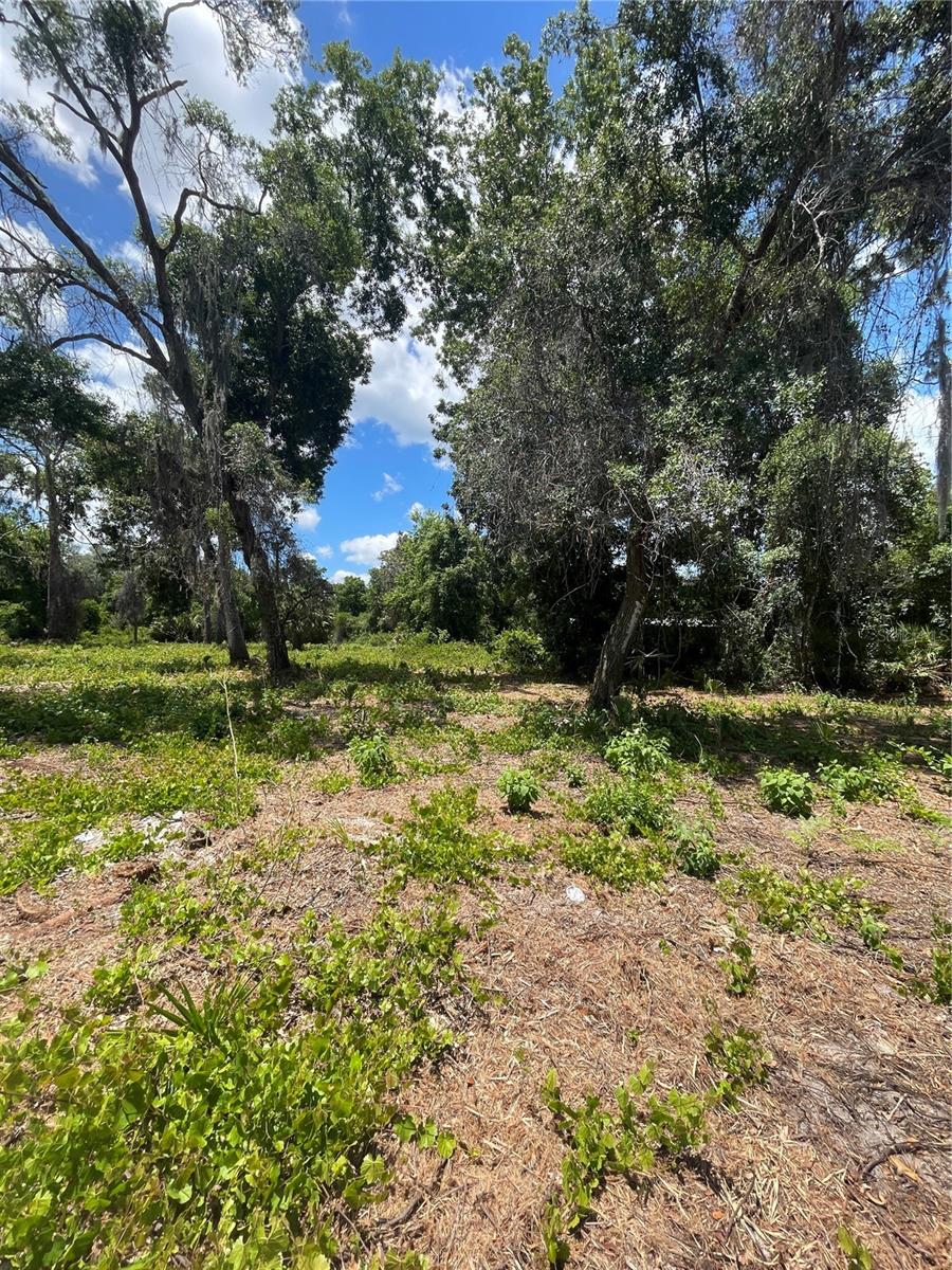 County Road 42, FL