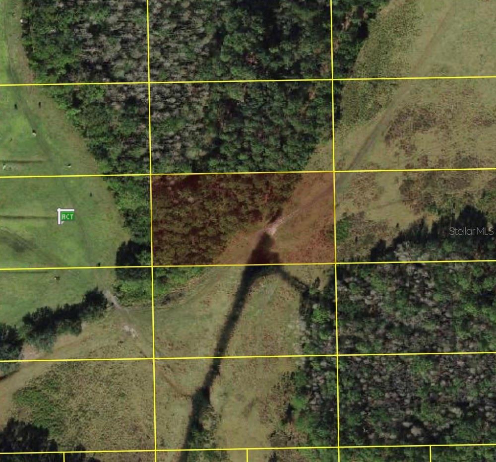 28.341015, -81.840448 Polk City, Fl 33868, FL