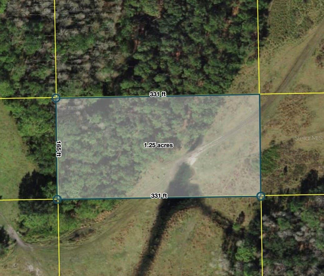 28.341015, -81.840448 Polk City, Fl 33868, FL