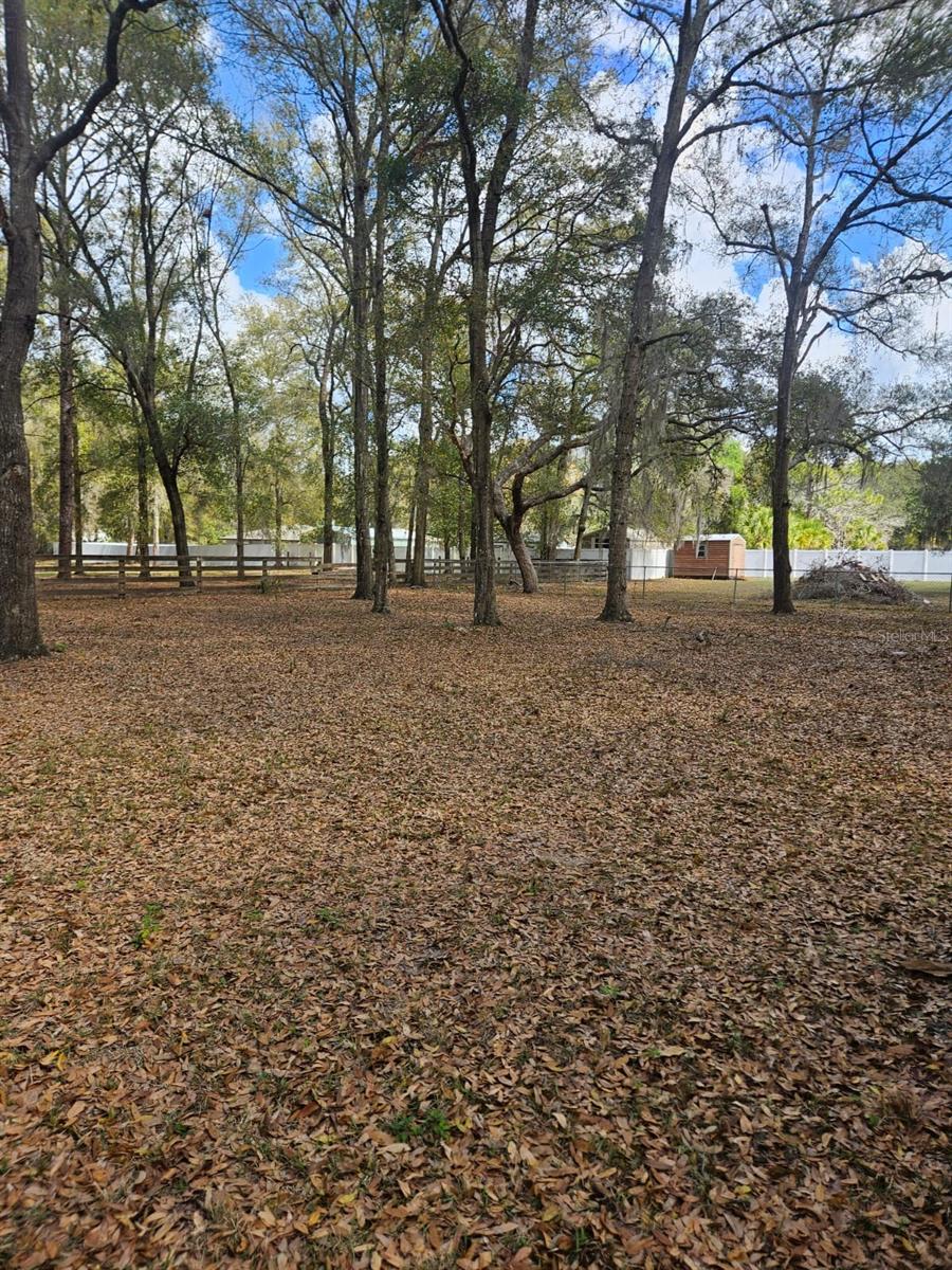 5463 Tangelo Lane, FL